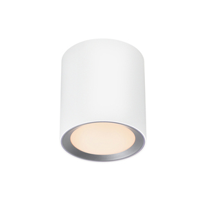 Downlight natynkowy Nordlux Landon Smart Long 2110850101 biały LED 8 W IP44 small 5