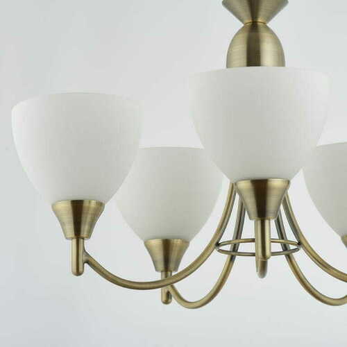 Sprawdź Lampa wisząca Alton 1805-5AN Endon