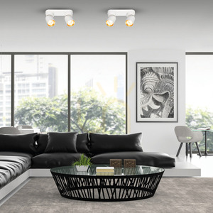 Lampa Sufitowa Andy 2x Gu10 Biały + Złoty small 2