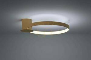 Plafon RIO 55 złoty LED 4000K  - THORO small 2