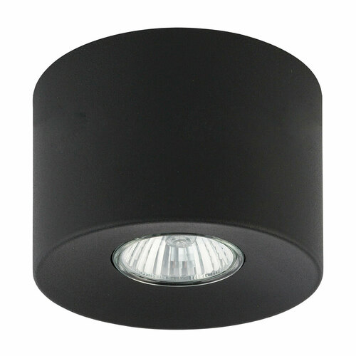Sprawdź Orion Black Lampa Sufitowa 1 Pł