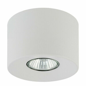 Orion White Lampa Sufitowa 1 Pł small 0