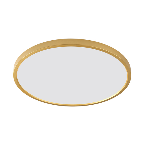 Sprawdź Lampa sufitowa Zuma Line CAMI WM-BP1108-L-G ZŁOTA