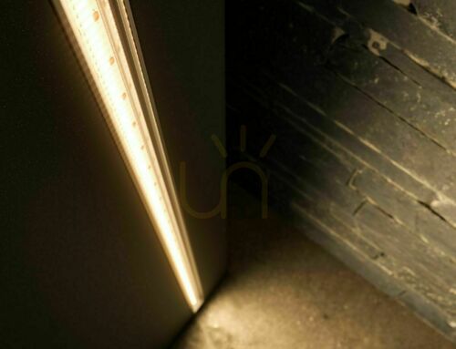 Sprawdź Taśma LED OPTI 12V 2400 LED COB 10W/m 3000K CRI90 IP20 biała ciepła, rolka 5 m