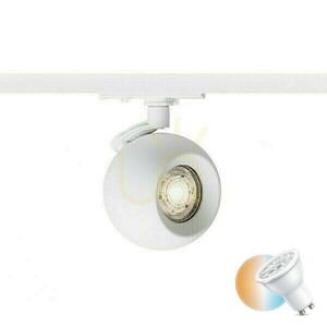 Reflektor szynowy 1-fazowy Rendl SIENA biały GU10 9 W R13759 small 0