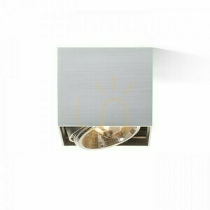 Downlight Dean I Aluminium Szczotkowane 230 V/12 V G53 50 W small 2