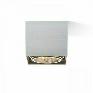 Downlight Dean I Aluminium Szczotkowane 230 V/12 V G53 50 W small 3