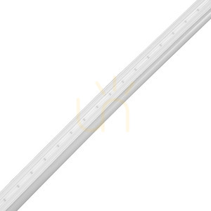 Neon Eko Flex Profesional 4000 K 6/12 5m IP65 small 2