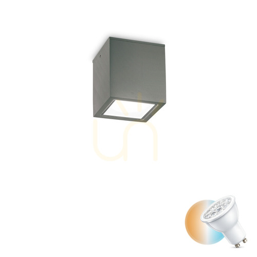 Sprawdź Plafon zewnętrzny Ideallux TECHO 251554 antracyt GU10 IP54 9 cm