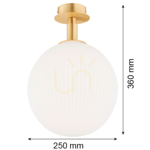 Kinkiet Argon Paloma Biały Mosiądz Szczotkowany E27 IP20 8505 small 5