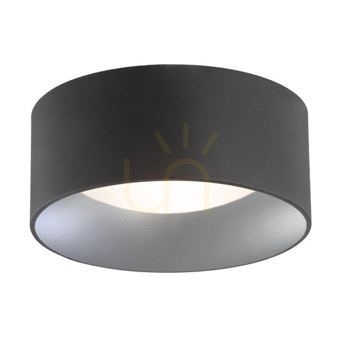 Sprawdź Plafon ARGON Mohito 2xE27 srebrny czarny 350 mm IP20 704