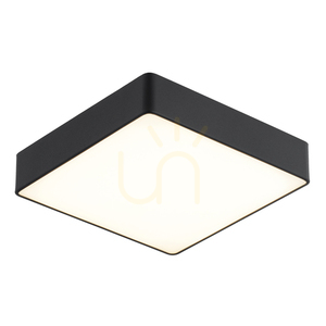 Plafon Argon Ontario czarny 2xE27 250 mm IP20 SKU 654 small 0