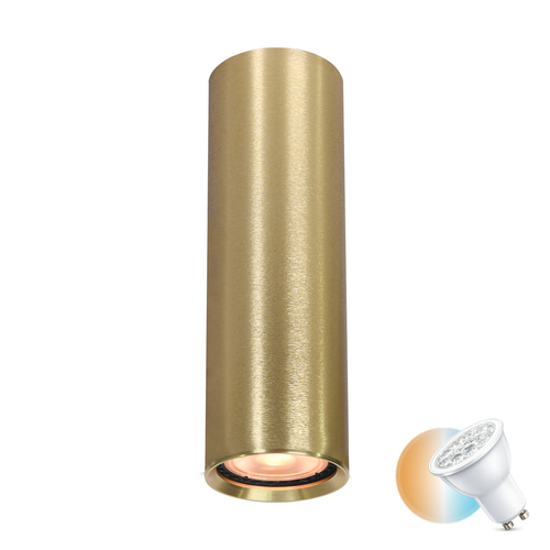Sprawdź Lampa Natynkowa Italux Lopus Złota GU10 LED Aluminium CLN-48930-M-GD