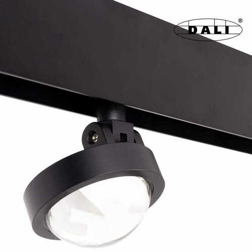 Sprawdź Reflektor magnetyczny do szynoprzewodu Max Light MAX M0018D czarny DALI LED 8W 3000K