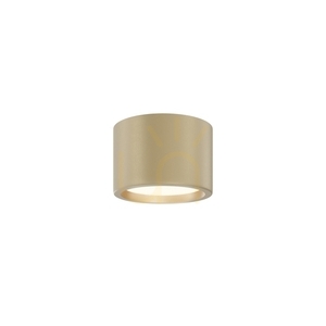 Plafon HYDRA C090CL-10W3K-MG IP44 Maytoni small 1