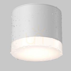 Plafon PAULINE C087CL-GX53-W IP44 Maytoni small 4