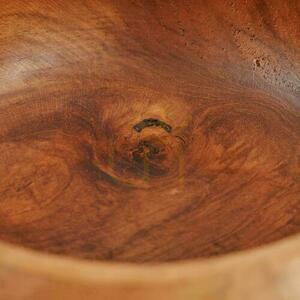 Misa na owoce Teak Root 2 Misa na owoce Teak Root small 2