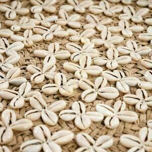 Costa Shell Plate - Natural White - M 4 Costa Shell Plate - Natural White - M small 4