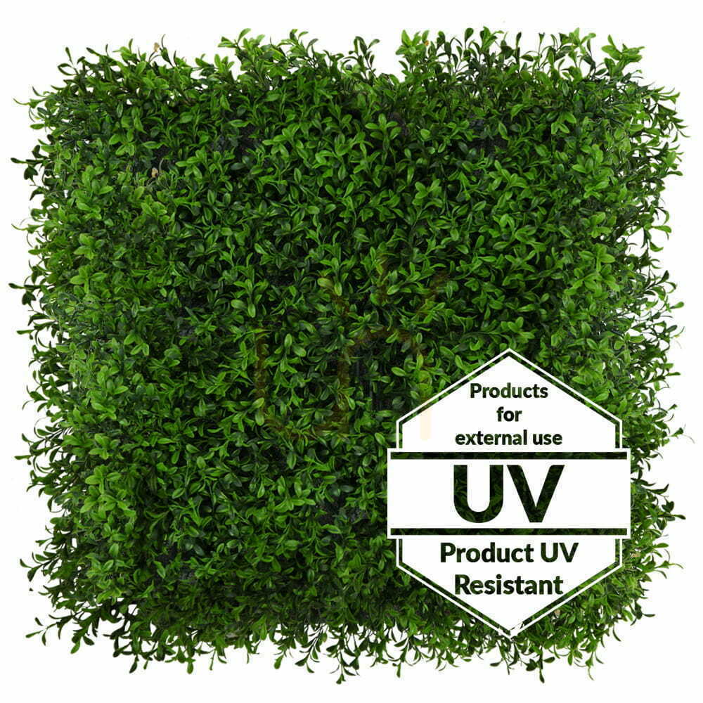 Zobacz Sztuczna zielona mata Buxus UV 50x50cm Sztuczna zielona mata Buxus UV 50x50cm
