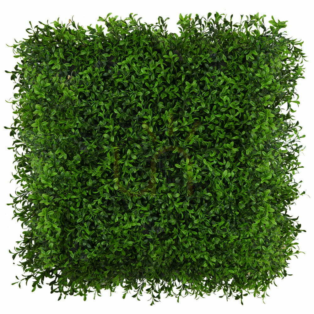 Obejrzyj Sztuczna zielona mata Buxus UV 50x50cm Sztuczna zielona mata Buxus UV 50x50cm