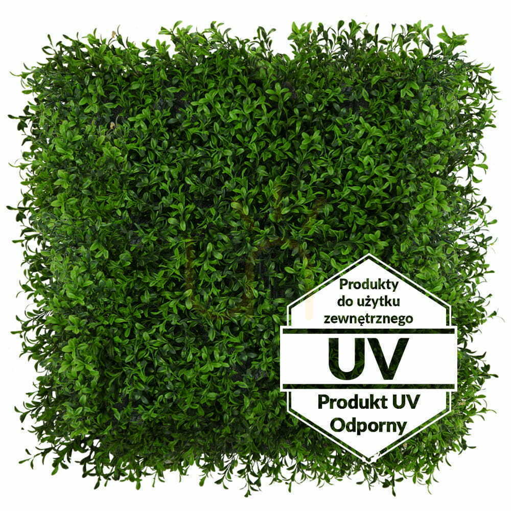 Sprawdź Sztuczna zielona mata Buxus UV 50x50cm Sztuczna zielona mata Buxus UV 50x50cm