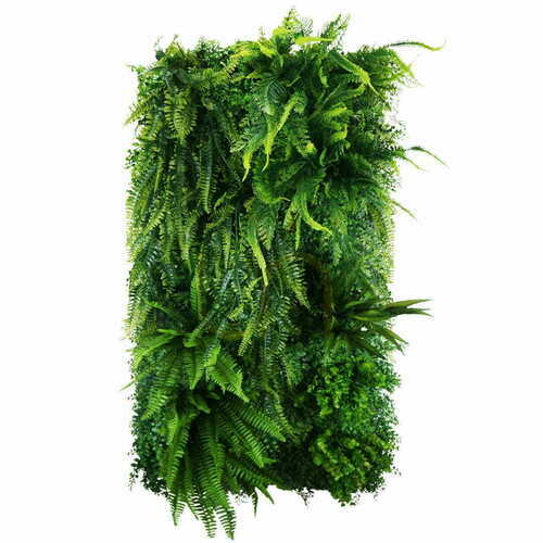 Sprawdź Ogród Wertykalny Easy Fern