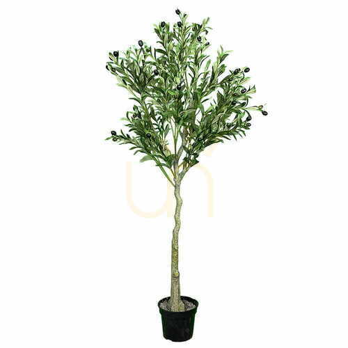 Sprawdź Sztuczne drzewo oliwne  Oliwka 150cm