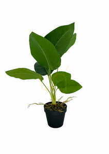 Sztuczna Roślina Banan 55 cm 3 Sztuczna Roślina Banan 55 cm small 3