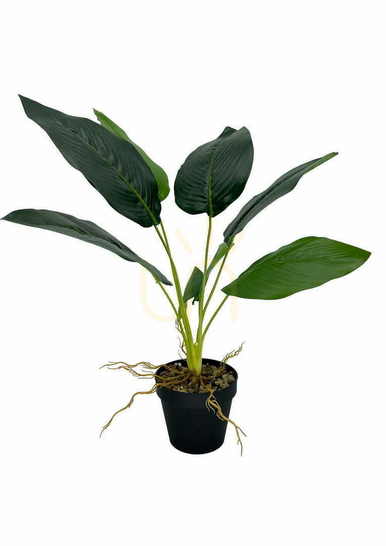 Sprawdź Sztuczna Roślina Banan 55 cm Sztuczna Roślina Banan 55 cm