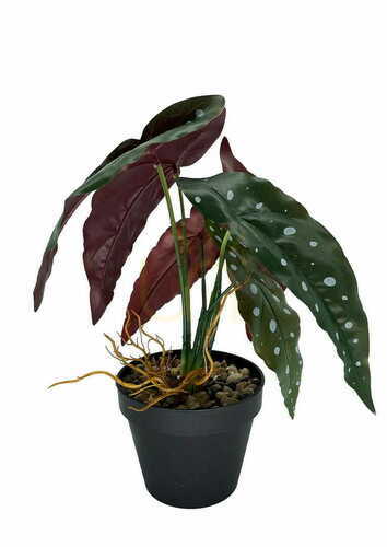 Sprawdź Sztuczna Roślina Begonia Coral 36 cm