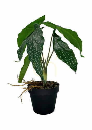 Sprawdź Sztuczna Roślina Begonia 26 cm