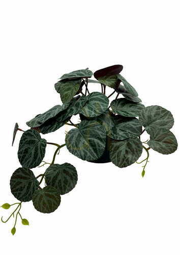 Sprawdź Sztuczna Roślina Pilea 40 cm