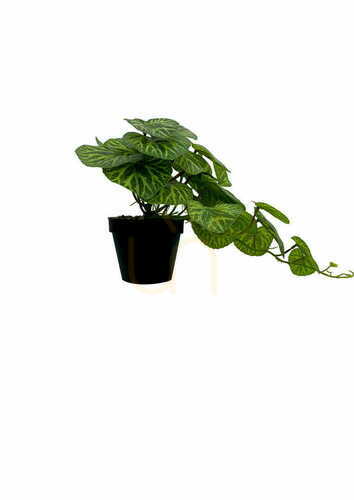 Sprawdź Sztuczna roślina Pilea 37 cm liście tekstylne doniczka produkcyjna Green Designers GD 3456