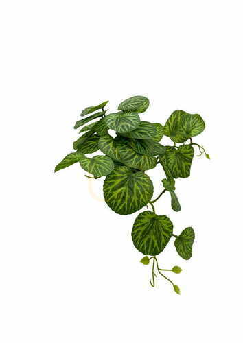 Sprawdź Sztuczna Roślina Pilea 37 cm