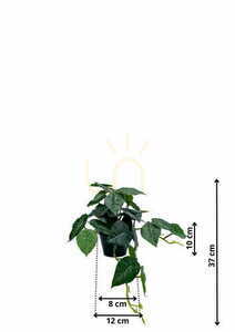 Sztuczna Roślina Filodendron 37 cm 1 Sztuczna Roślina Filodendron 37 cm small 1