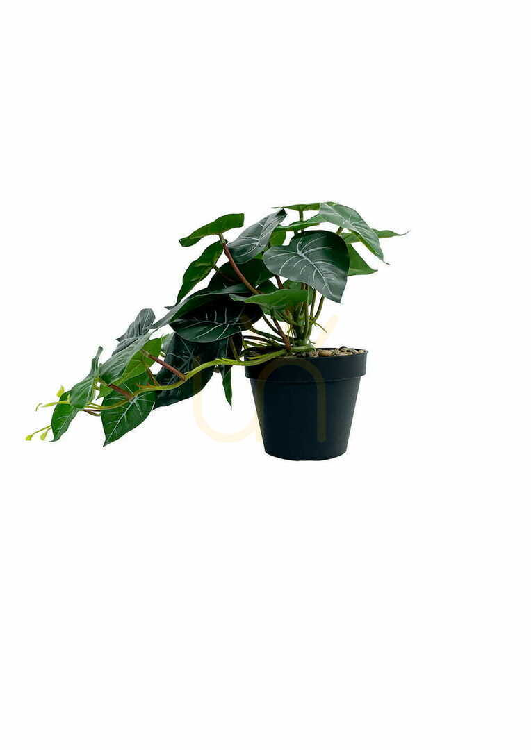 Obejrzyj Sztuczna Roślina Filodendron 37 cm Sztuczna Roślina Filodendron 37 cm