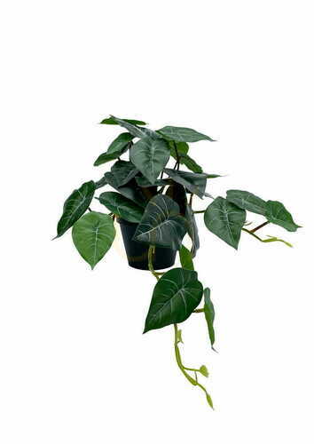 Sprawdź Sztuczna Roślina Filodendron 37 cm