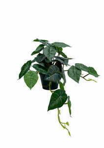 Sztuczna Roślina Filodendron 37 cm 0 Sztuczna Roślina Filodendron 37 cm small 0