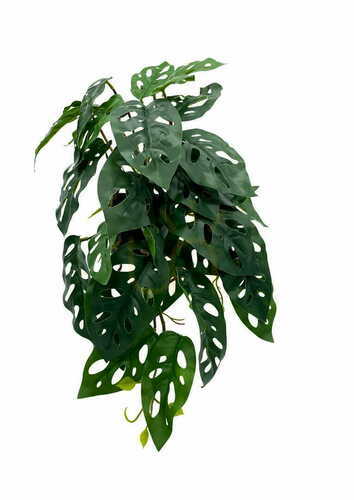 Sprawdź Sztuczna Roślina Monstera Monkey 44 cm