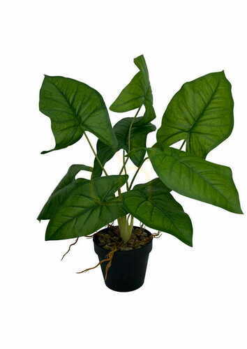 Sprawdź Sztuczna Roślina Syngonium 56 cm