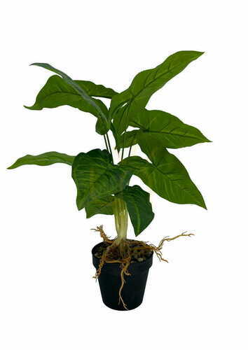 Sprawdź Sztuczna Roślina Syngonium 50 cm