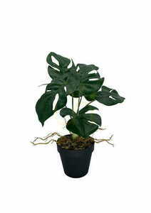 Sztuczna Roślina Monstera 39 cm 2 Sztuczna Roślina Monstera 39 cm small 2