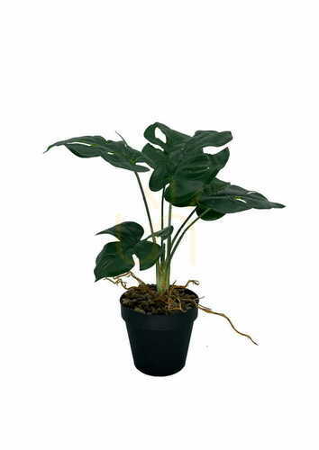 Sprawdź Sztuczna Roślina Monstera 39 cm