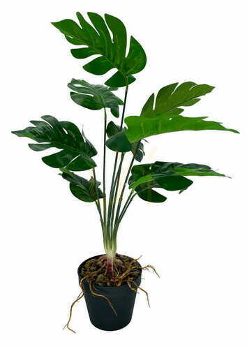 Sprawdź Sztuczna Roślina Monstera Dziurawa 52 cm