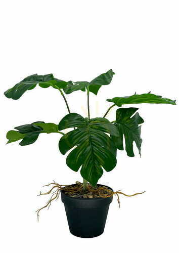 Sprawdź Sztuczna Roślina Monstera Dziurawa 43 cm