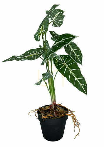 Sprawdź Sztuczna Roślina Alokazja Amazonica 58 cm