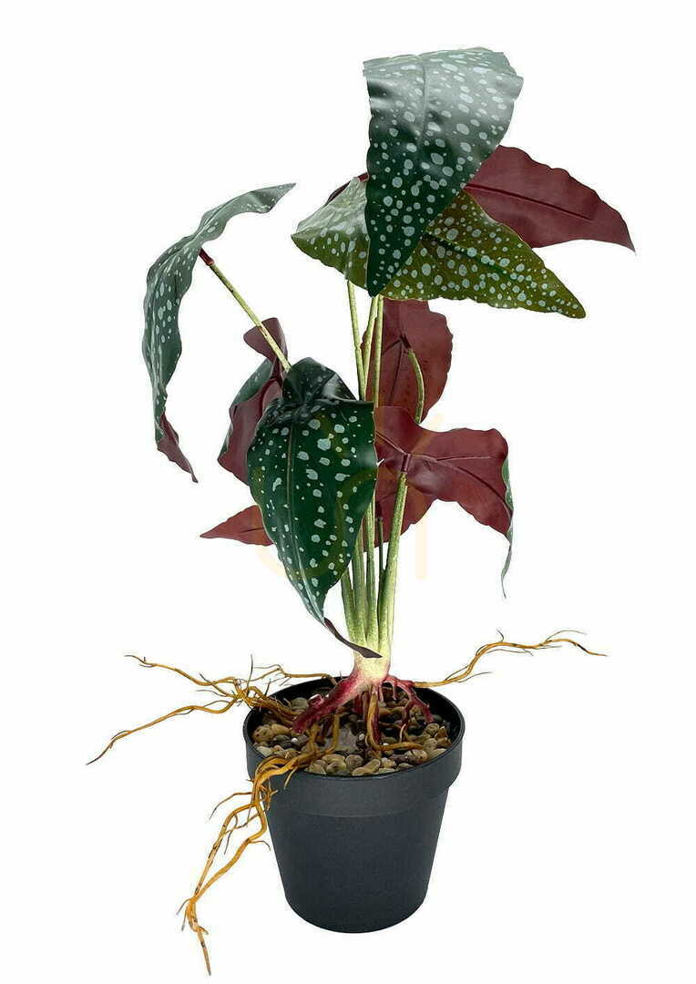Obejrzyj Sztuczna Roślina Begonia Rosie 47 cm Sztuczna Roślina Begonia Rosie 47 cm