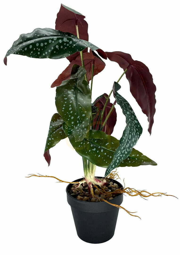 Pokaż Sztuczna Roślina Begonia Rosie 47 cm Sztuczna Roślina Begonia Rosie 47 cm