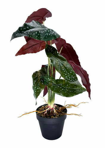 Sprawdź Sztuczna Roślina Begonia Rosie 47 cm