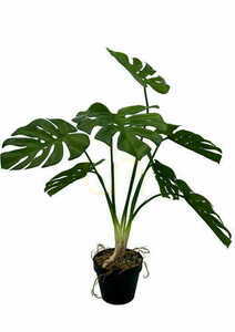 Sztuczna Roślina Monstera 65 cm small 2